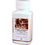 Green World Matsutake Plus 100 kapslí – Hledejceny.cz