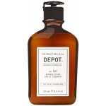 Depot NO. 101 Normalizing Daily Shampoo 250 ml – Sleviste.cz