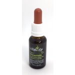 4betterlife tinktura Alimonum 20 ml – Hledejceny.cz
