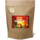 Doplněk stravy Lifefood Bio Guarana prášek 180 g