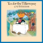 Cat Stevens - Tea for the Tillerman CD – Hledejceny.cz