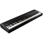 Kurzweil KA E1 – Hledejceny.cz