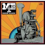 Blue Effect Modrý Efekt Radim Hladík LP – Zboží Dáma