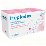EasyLife Healthy Life Heplodex 40 kapslí – Hledejceny.cz