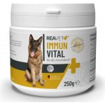 Reavet Immun Vital pro psy posílení imunitního systému 250 g – Hledejceny.cz