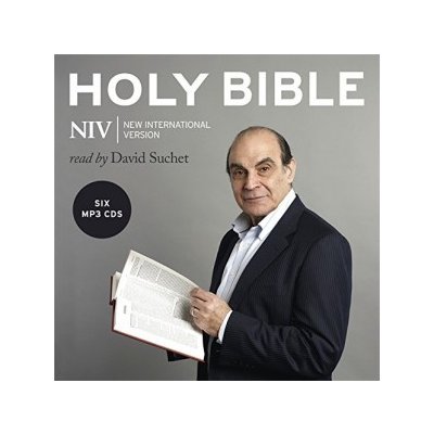 NIV Audio Bible