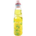 Ramune Yuzu Citrus 200 ml – Zboží Dáma