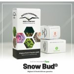 Dutch Passion Snow Bud semena neobsahují THC 3 ks – Zboží Dáma