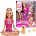 Barbie Meditační panenka JJN55 – Zboží Dáma