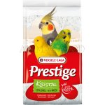 Versele-Laga mušlový písek Kristal 25 kg – Sleviste.cz