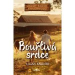 Osudy farmy Silverwood - Bouřlivá srdce – Hledejceny.cz