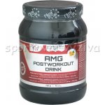 Nutristar AMG Postworkout 750 g – Zbozi.Blesk.cz