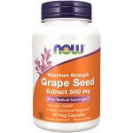 Now Foods Grape Seed Extract 500 mg Maximum Strength 90 veg kapslí – Hledejceny.cz