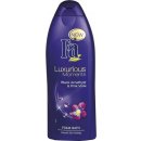 Fa Luxurious Moments Black Amethyst & Pink Viola pěna do koupele 500 ml