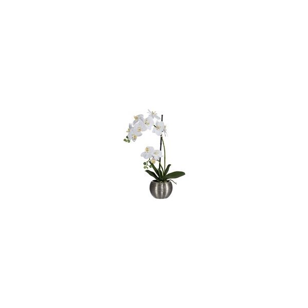 Květina Orchidej Phalenopsis x2 60 cm bílá - Gasper