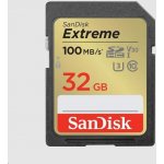 sanDisk SDHC UHS-I U3 32 GB SDSDXVT-032G-GNCIN – Hledejceny.cz