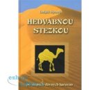 Hedvábnou stezkou po stopách dávných karavan - Lukáš Synek