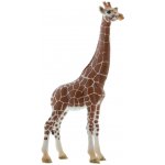 Schleich 14750 Žirafa samice – Zbozi.Blesk.cz