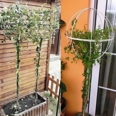 RealG RC-K-982 Kovová podpora pro popínavé rostliny 50 × 10 cm, bílá – Hledejceny.cz