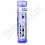 LYCOPODIUM CLAVATUM POR 30CH GRA 1X4G – Hledejceny.cz