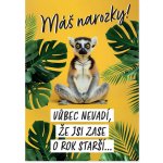 Albi Hrací přání k narozeninám - Lemur – Sleviste.cz