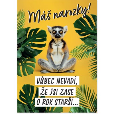Albi Hrací přání k narozeninám - Lemur – Sleviste.cz