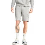 Puma ESS+ LOGO LAB shorts 10 TR 67898103 šedá – Hledejceny.cz