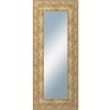 Zrcadlo Dantik KŘÍDLO 50x120 cm zdobné zlaté
