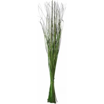Ikea Sušená kytice trávy zelená 115 cm