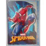 MFP paper s.r.o. Přání dětské Disney mix 2 – Zboží Dáma