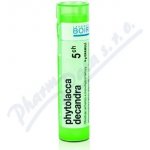PHYTOLACCA DECANDRA POR 5CH GRA 4G – Hledejceny.cz