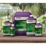 Plagron-alga bloom 250 ml – Zboží Dáma