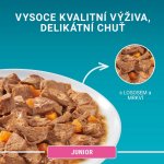 Purina One Junior s lososem a mrkví ve šťávě 4 x 85 g – Sleviste.cz