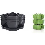 Prosperplast Petrželák COUBI HERBAL grafit 29,5 cm – Sleviste.cz