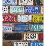 Dimex MS-3-0269 vliesová fototapeta na zeď Poznávací čísla rozměry 225 x 250 cm – Zboží Dáma