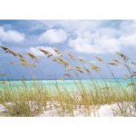 Komar 8-515 FOTOTAPETA Ocean Breeze rozměry 368 x 254 cm – Hledejceny.cz