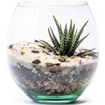Gardners Skleněná váza boule, průměr 13 cm - osázené suchomilně – Hledejceny.cz