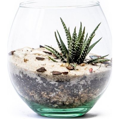 Gardners Skleněná váza boule, průměr 13 cm - osázené suchomilně – Hledejceny.cz
