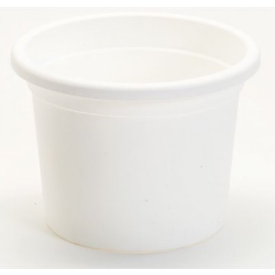 Plastia Květináč Narcis bílí Bílá 13 – Zboží Dáma