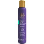 Hydra Lak na srst 300 ml. Grooming Style Spray – Hledejceny.cz