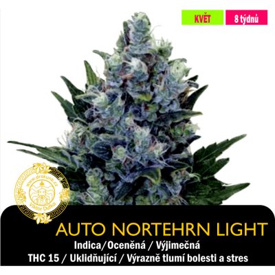 Drskunk Auto Northern Light Feminizováno semena neobsahují THC 1 ks – Sleviste.cz