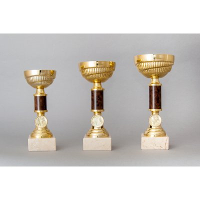Zlatohnědý sportovní pohár 19 23 cm sada-tri-poharu – Zboží Dáma