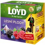 Loyd Ovocný čaj aromatizovaný lesní plody 20 x 2 g – Hledejceny.cz