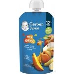 Gerber Natural kapsička lesní ovoce 16 x 90 g – Zboží Dáma