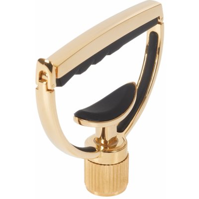 G7th Heritage 1 12-String Guitar – Sleviste.cz