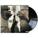 DMX - And Then There Was X LP – Hledejceny.cz