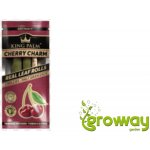 King Palm Rollies palmový blunt cherry charm 2 ks – Zboží Dáma
