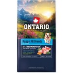 Ontario Puppy & Junior All Breeds Monoprotein Turkey & Sweet Potatoes 2 x 6,5 kg – Hledejceny.cz