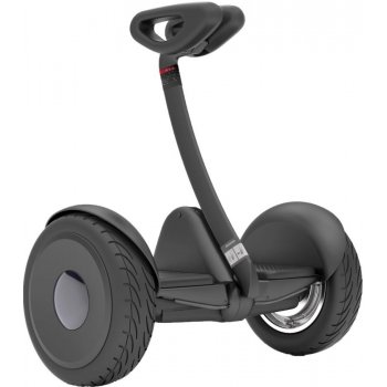 Ninebot Segway S