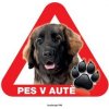 Autovýbava Grel nálepka na plech pozor pes v autě leonbergr